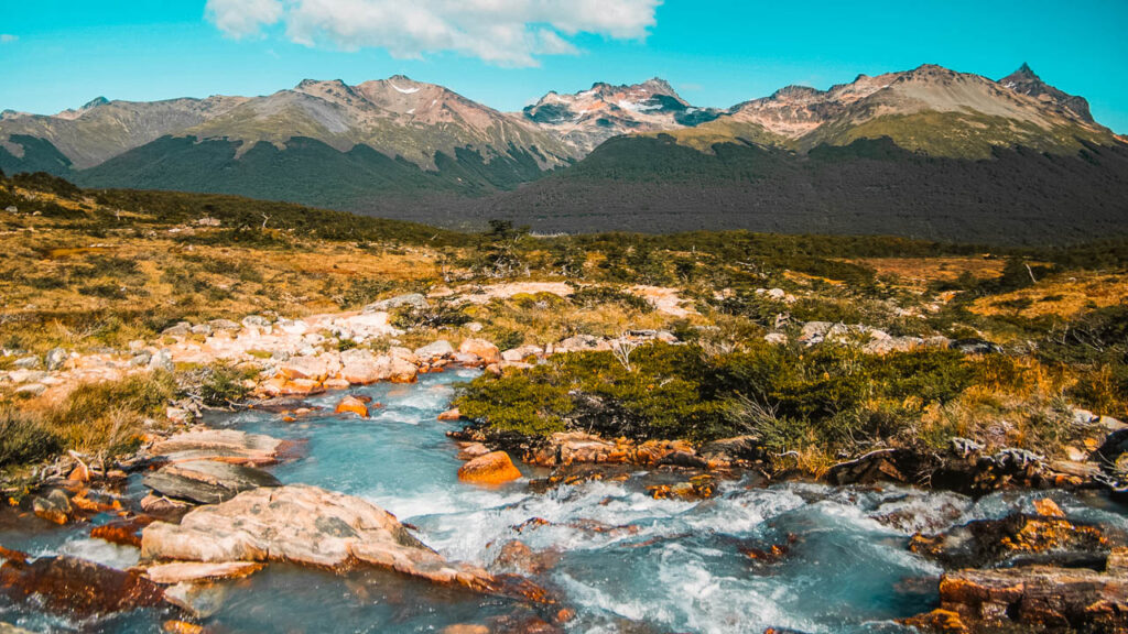 Beaver dam in Tierra del Fuego national park