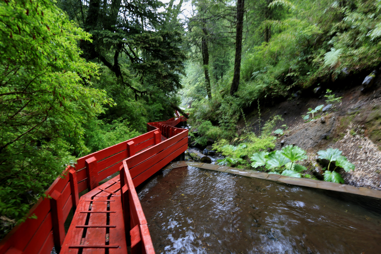 Geometric Hot Springs - Pucon, Chile