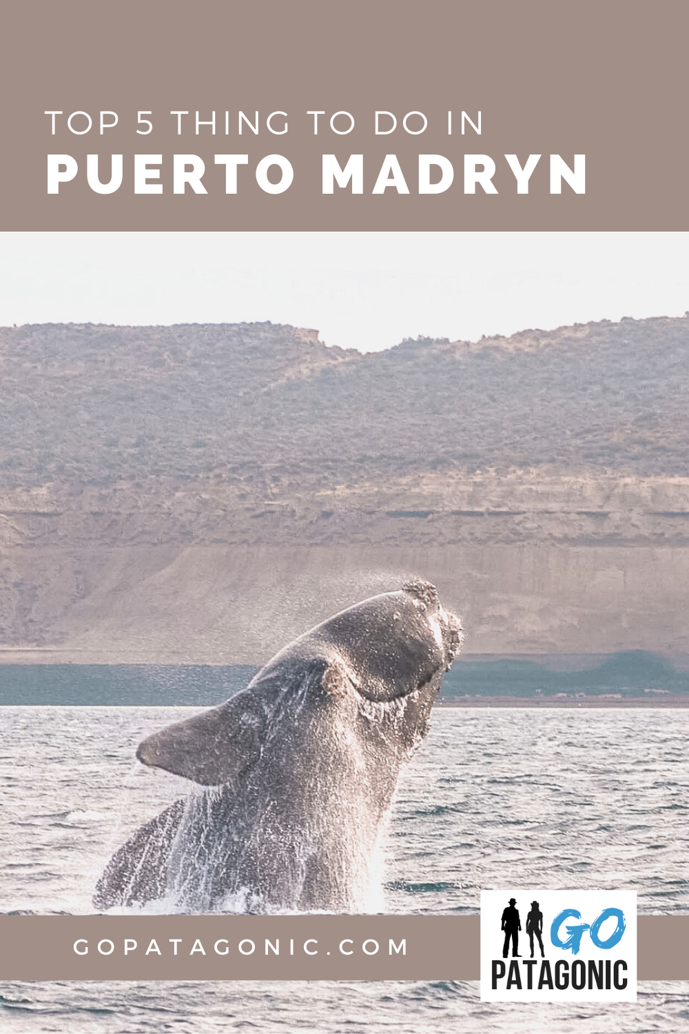 Things to do in Puerto Madryn top 5