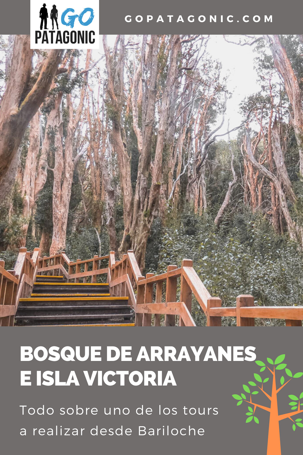 Visitar Bosque de Arrayanes e isla Victoria