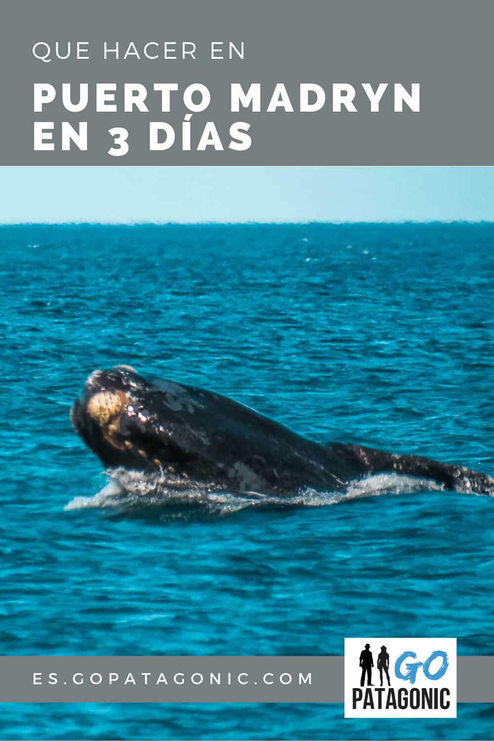 Puerto Madryn en 3 días, itinerario sugerido