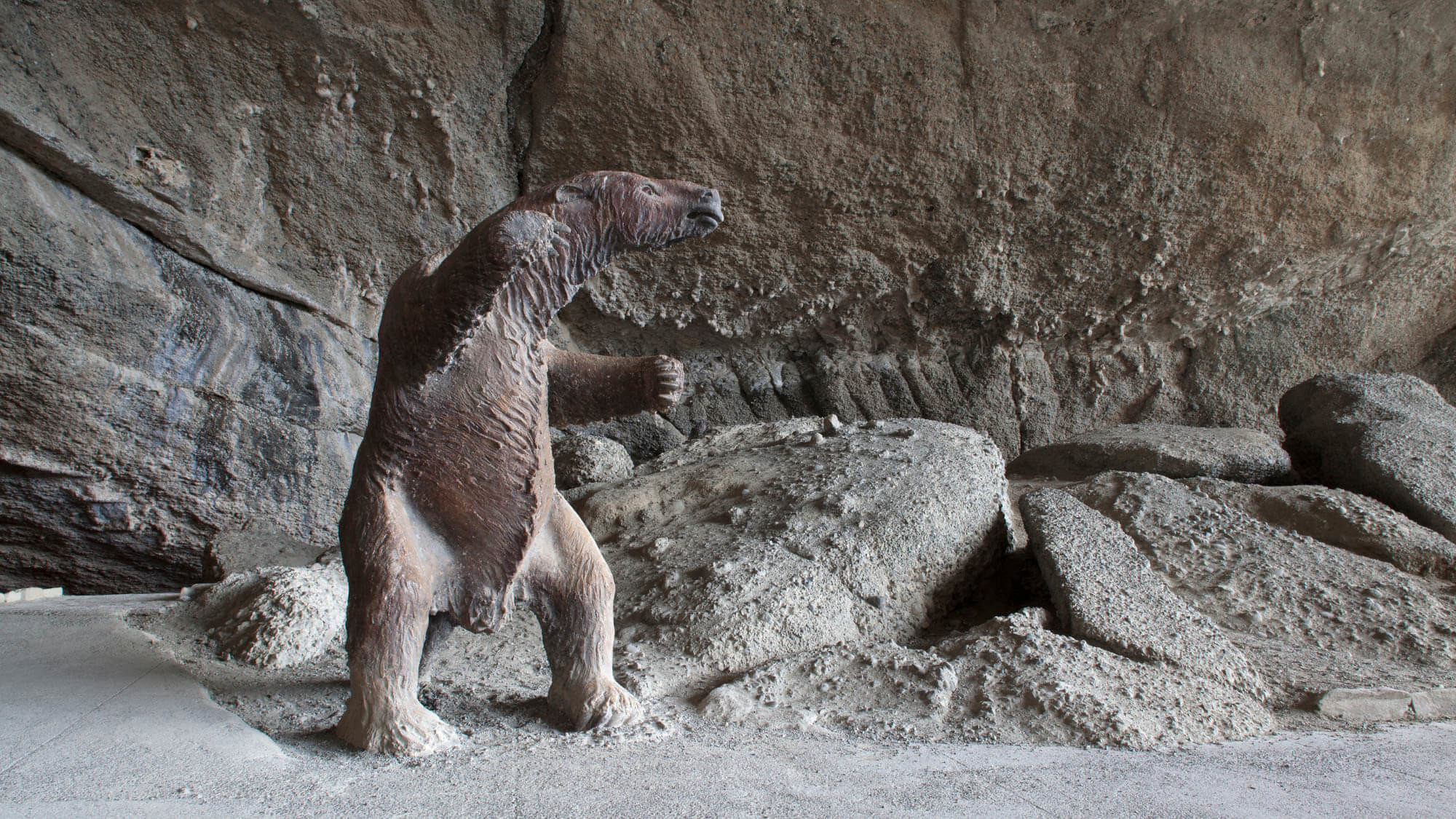 Milondon Cave in the vicinity of Puerto Natales