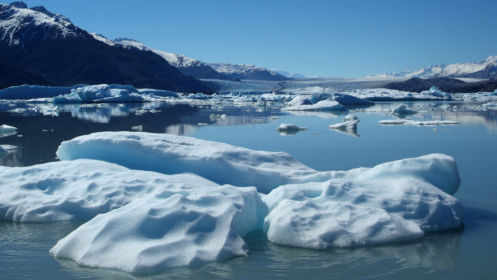 Tempano de HIelo flotando visto desde la excursión de todo glaciares en el parque nacional Los Glaciares
