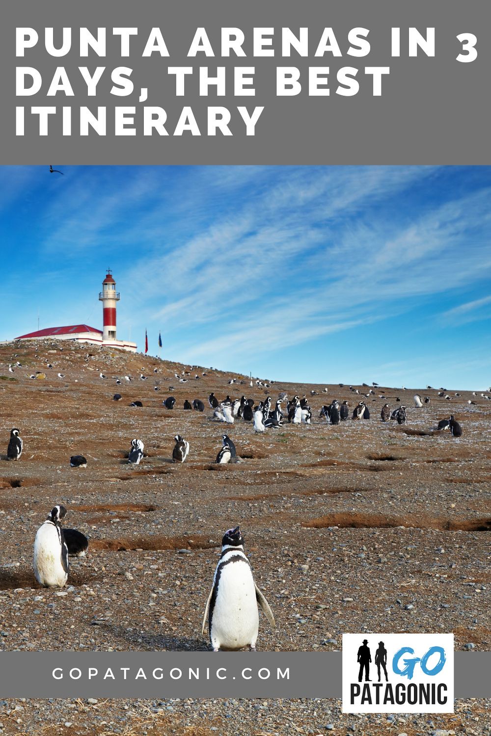 Things to do in Punta Arenas in 3 days