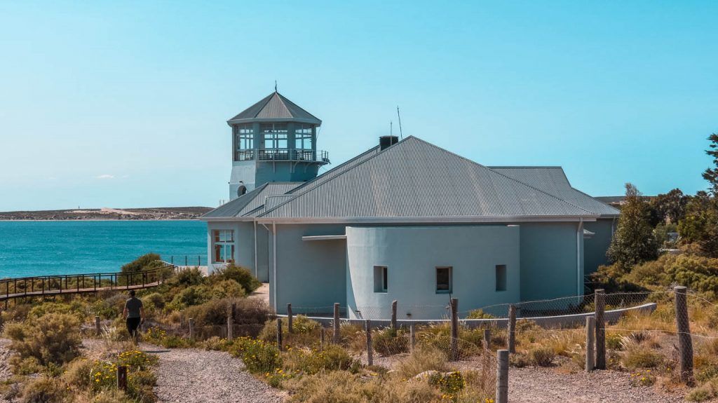 Visitar el Ecocentro de Puerto Madryn